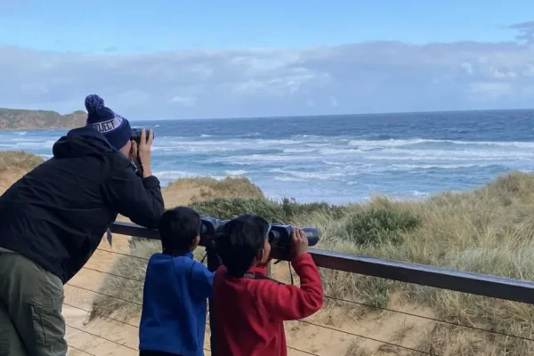 Whale Discovery Trail