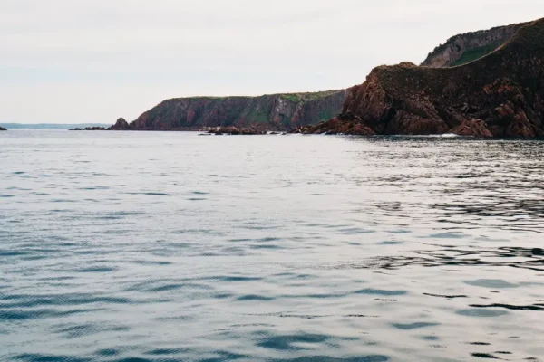 Wildlife Coast Cruises Phillip Island
