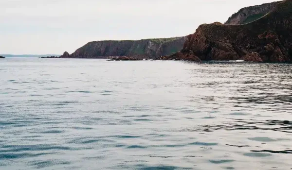 Wildlife Coast Cruises Phillip Island