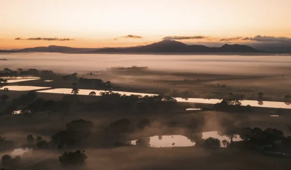 Wineries Grampians