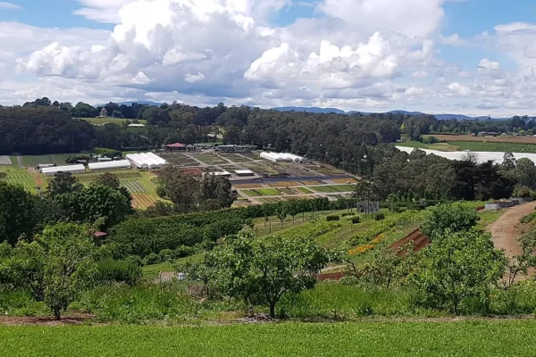 Yarra Ranges Herb Farm