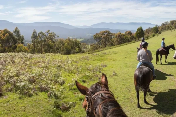 Yarra Ranges and Victorian High Country