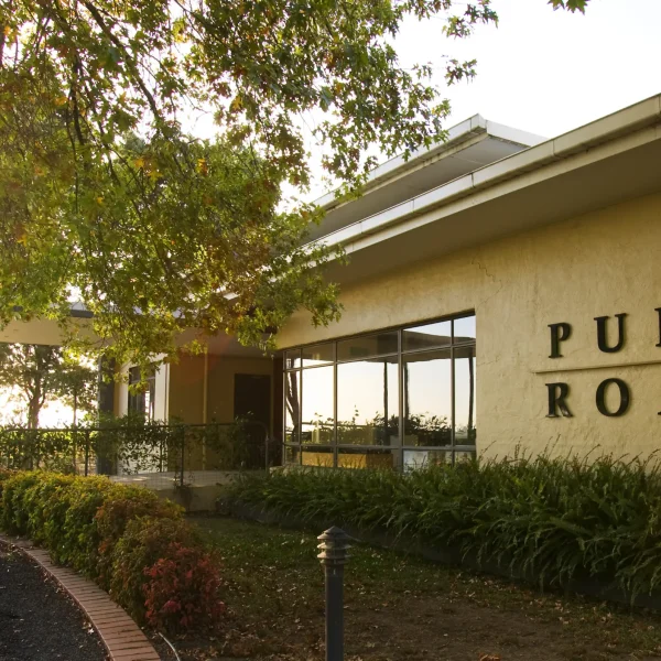 best hunter valley wine tour
