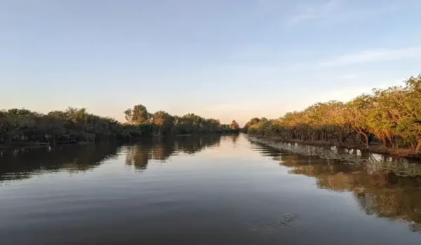 Yellow Water Billabong
