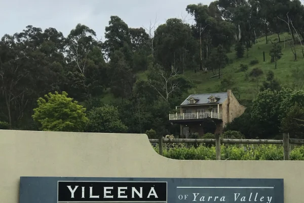 Yileena Park