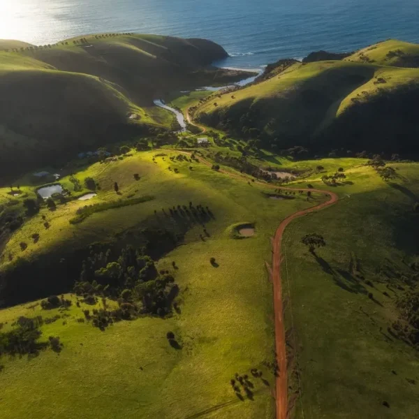 adelai to kangaroo island tour