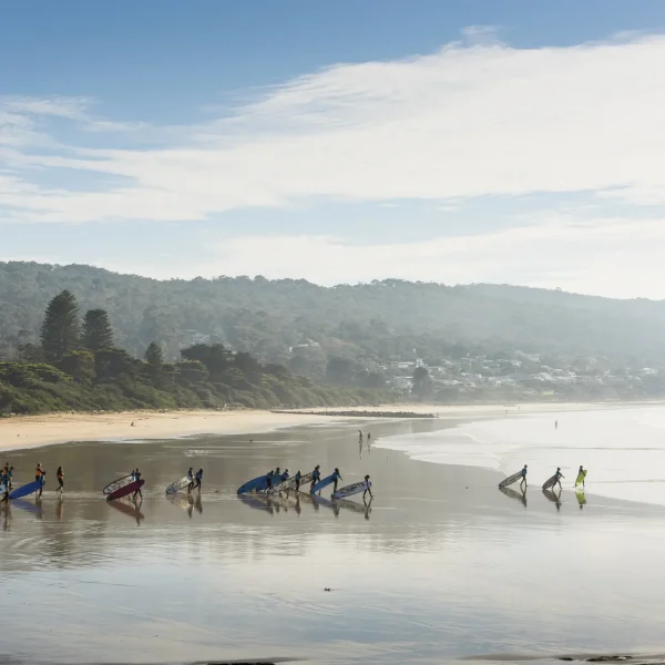 adelaide to melbourne tour great ocean road