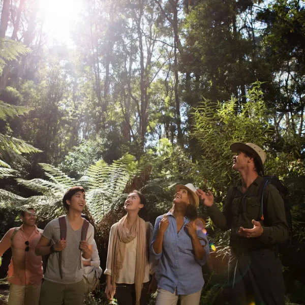 adelaide to melbourne tour