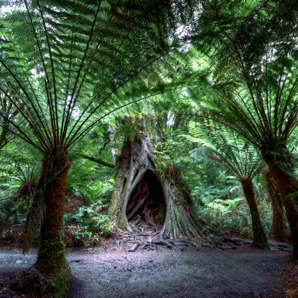 adelaide to melbourne tours