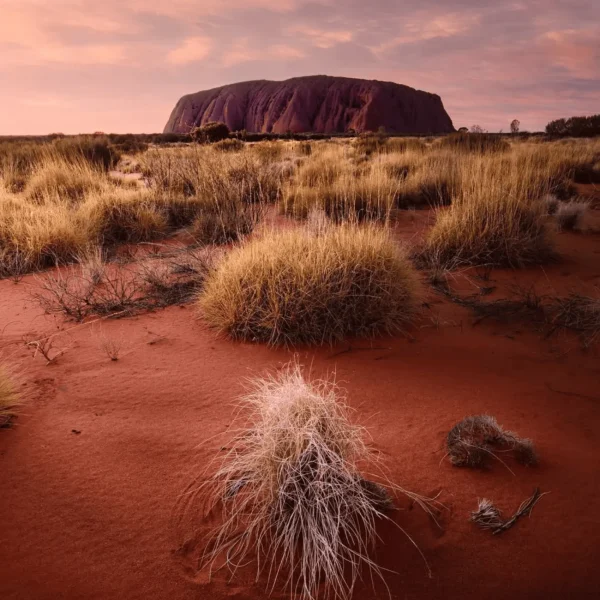 alice springs 2 days trips
