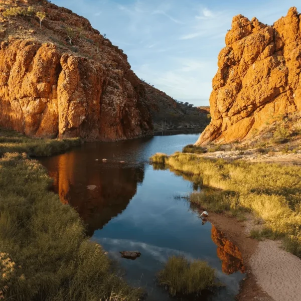 alice springs day tour