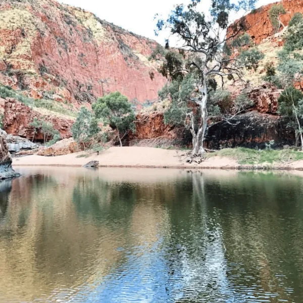 alice springs day tours