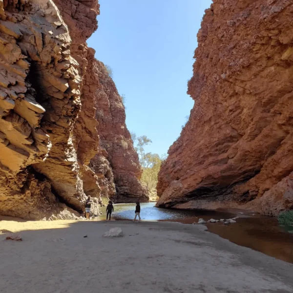 alice springs day trip