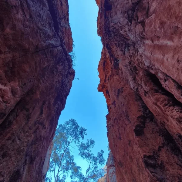 alice springs day trips