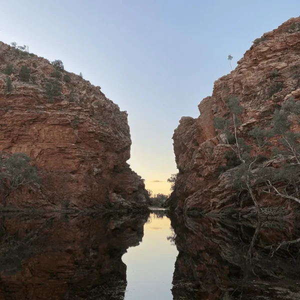 alice springs half day tours