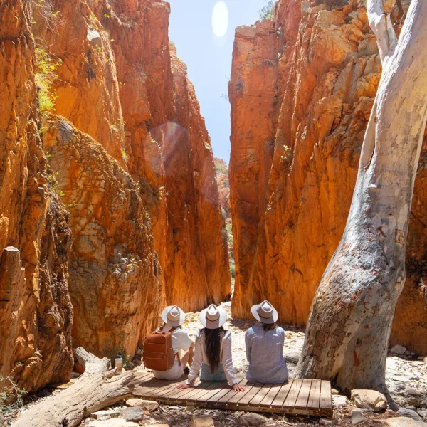 alice springs to uluru day tour
