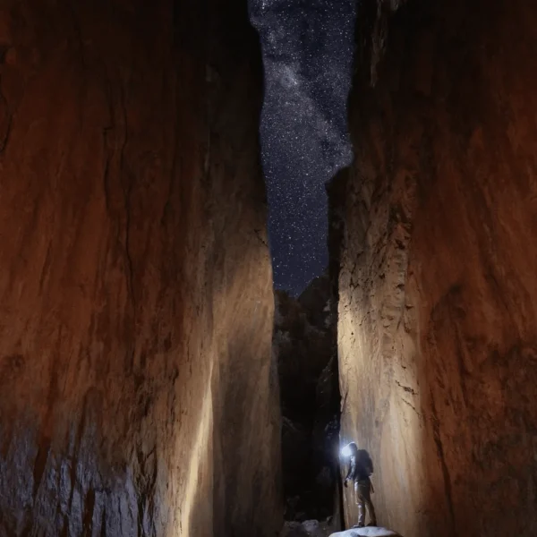 alice springs tours one day