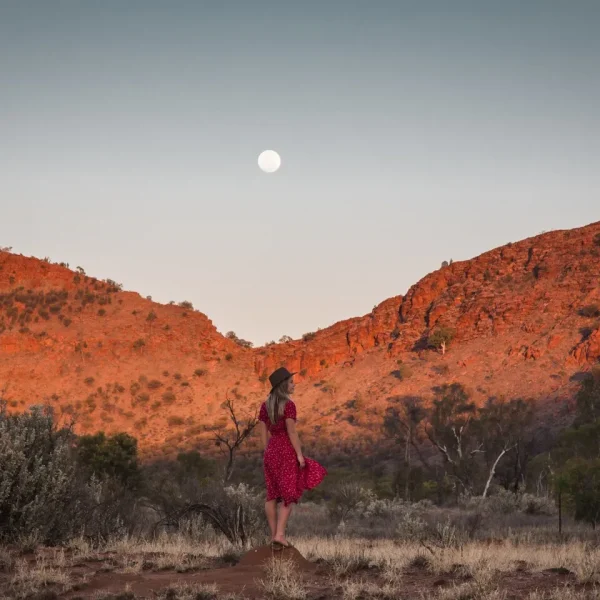 ayers rock kings canyon tours