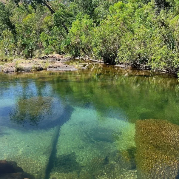 best 3 day kakadu tours from darwin