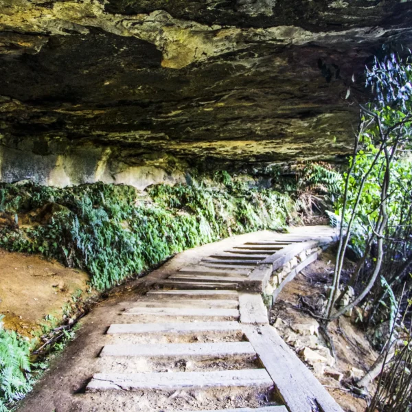best blue mountain tours