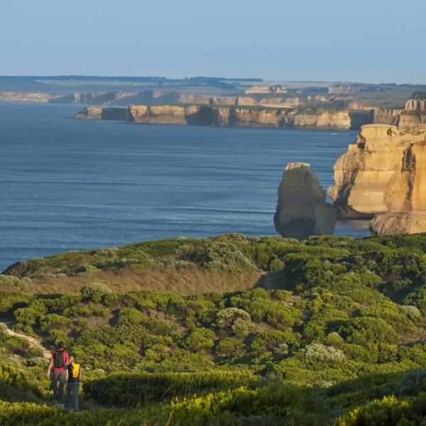 best great ocean road tour