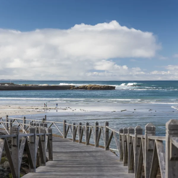 best great ocean road tours