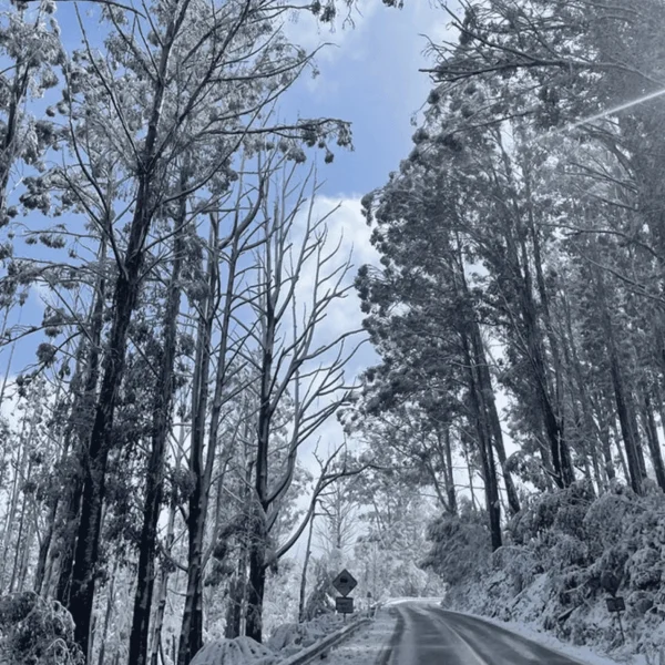 best snow day trip melbourne