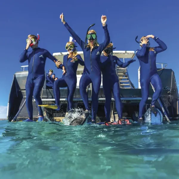 best whale shark tour exmouth
