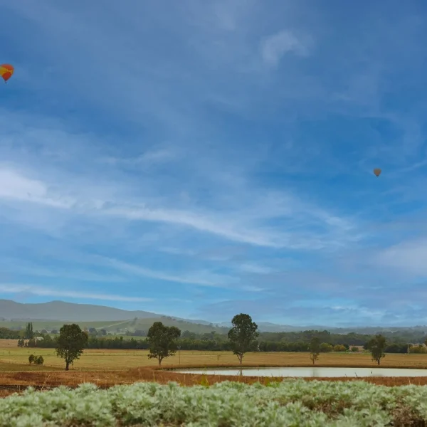 best wine tours melbourne