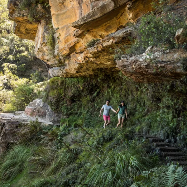 blue mountains day tour from sydney