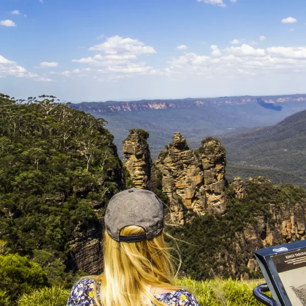 blue mountains sightseeing tours