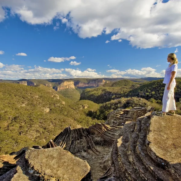 blue mountains tour