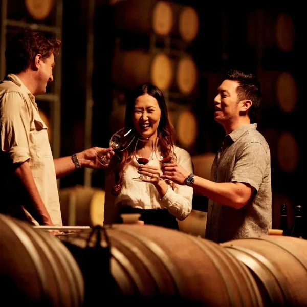 hunter valley wine tours