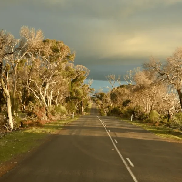 cheap kangaroo island tours from adelaide