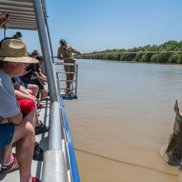 croc jumping tour darwin