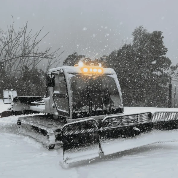 day snow trip melbourne