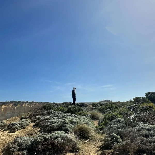 day tour to great ocean road