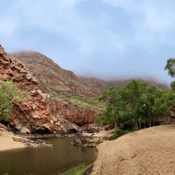 day tours alice springs