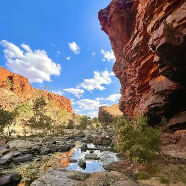 Simpson Canyon