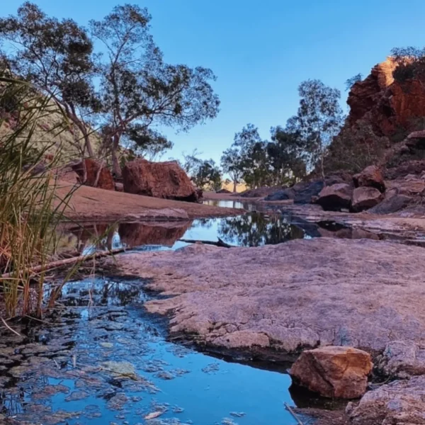day tours from alice springs