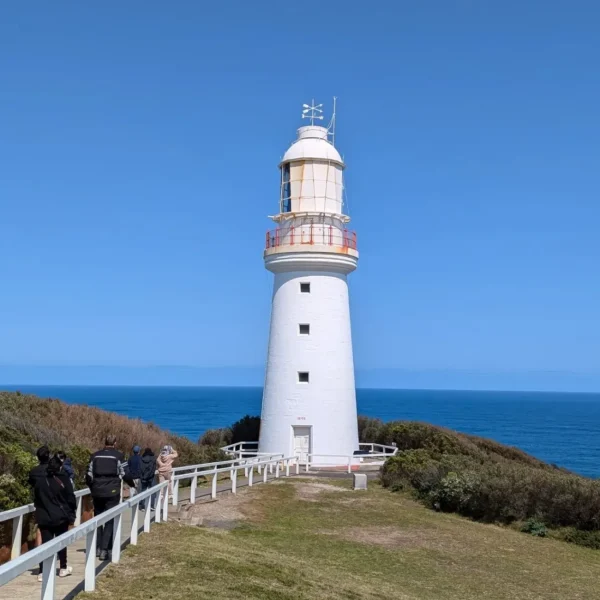 day tours from melbourne