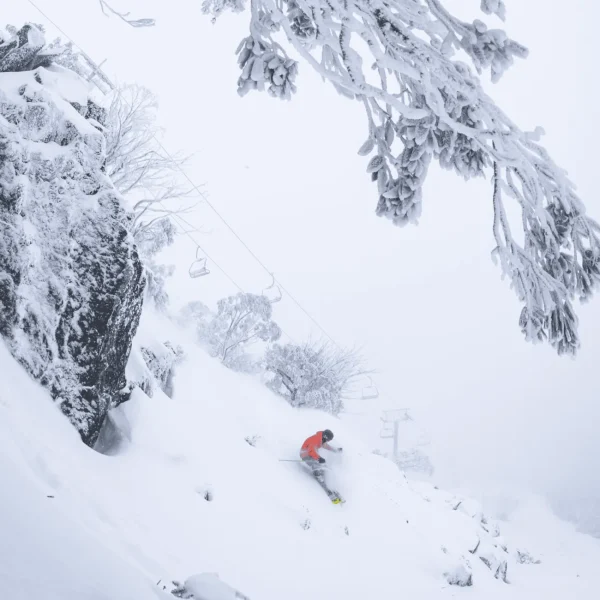 day trip mt buller