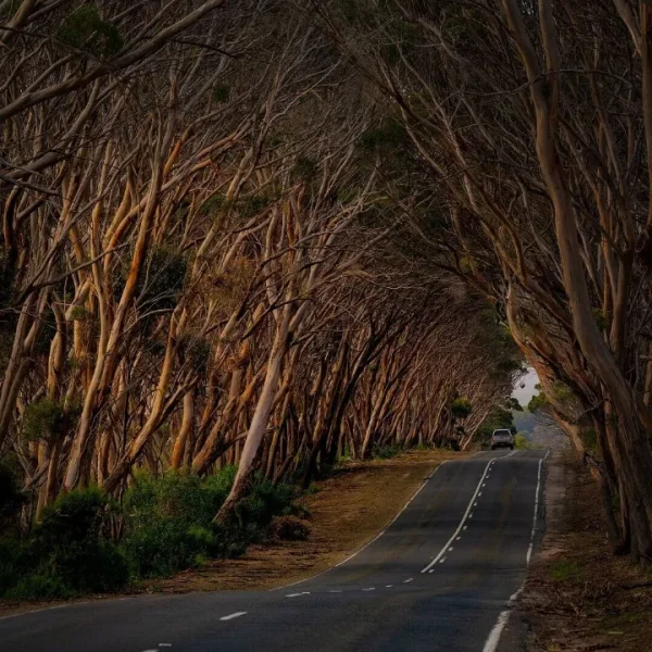 3 day trips to kangaroo island