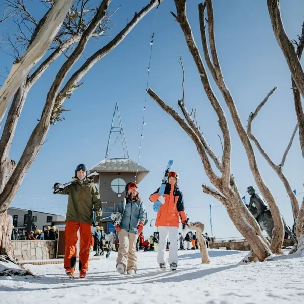 day trip to mt buller