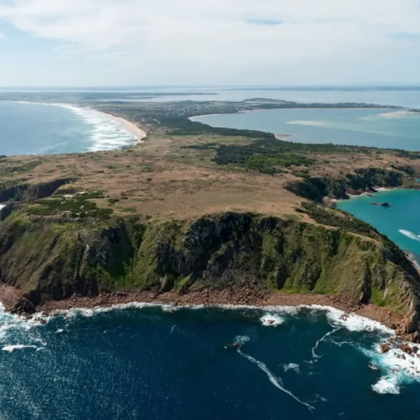 day trip to phillip island from melbourne