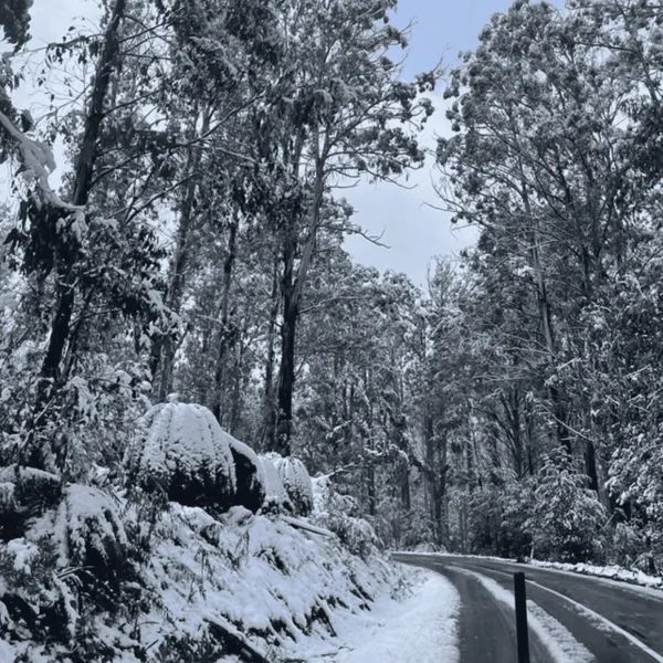 day trip to the snow from melbourne