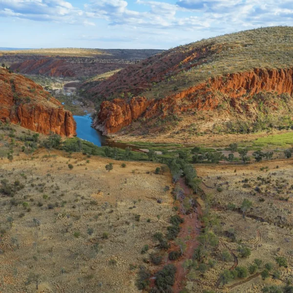 day trips from alice springs