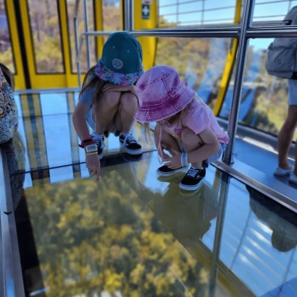 day trips from sydney to blue mountains