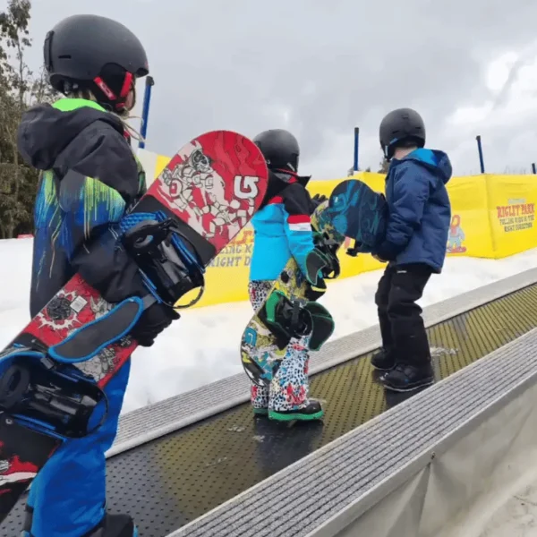 day trips to the snow from melbourne