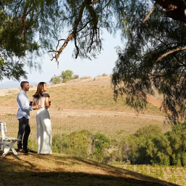 hunter valley wine tour
